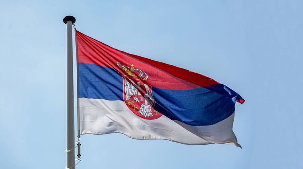 Drapeau serbe agitant contre un ciel bleu clair
 - Photo, image