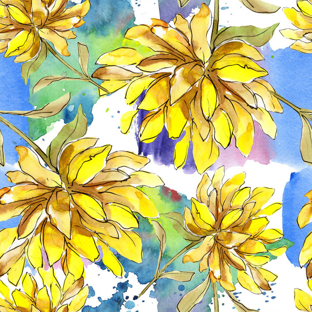 Aster floral botanical flowers. Watercolor background illustration set. eamless background pattern. - Fotografie, Obrázek