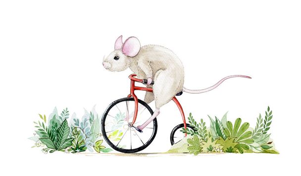Watercolor illustration of cute little mouse riding a bike through the bushes. Hand drawn water colour art of a rat, isolated on white background. Perfect for greeting cards, trendy prints  - Фото, изображение