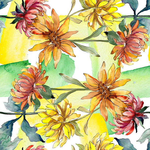 Aster floral botanical flowers. Watercolor background illustration set. eamless background pattern. - Photo, Image