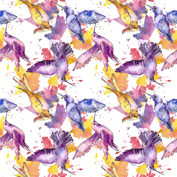 Sky bird colibri in a wildlife isolated. Watercolor background illustration set. Seamless background pattern. - Foto, immagini