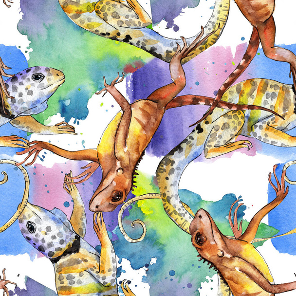 Iguana exótica animal salvaje. Conjunto de ilustración de fondo acuarela. Patrón de fondo sin costuras
. - Foto, imagen
