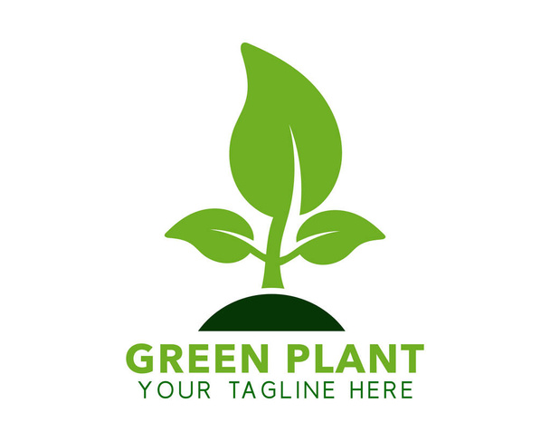 Groene plant logo. Bewerkbare vector EPS. - Vector, afbeelding