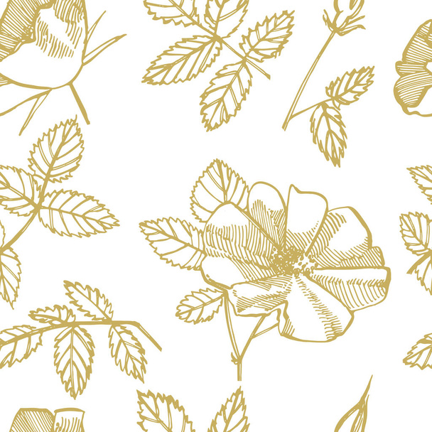 Wild rose flowers drawing and sketch illustrations. Decorative floral set for fabric, textile, wrapping paper, card, invitation, wallpaper, web design. Seamless patterns. - Fotografie, Obrázek