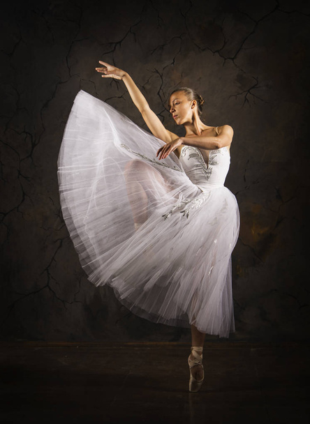 Slender girl in a white corset tutu dancing ballet. - Fotografie, Obrázek