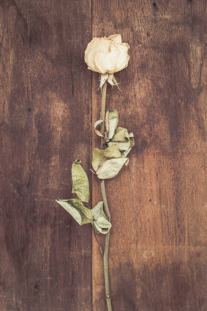 Gedroogde witte rozen - Foto, afbeelding