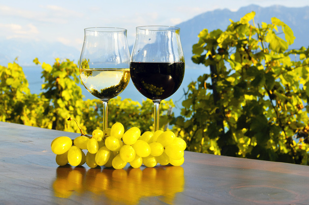 ワインとブドウ。ラヴォー地域、スイス - 写真・画像