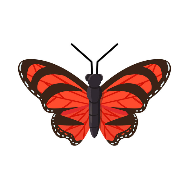 Vector illustration of butterfly and beauty symbol. Collection of butterfly and wildlife stock symbol for web. - Вектор,изображение