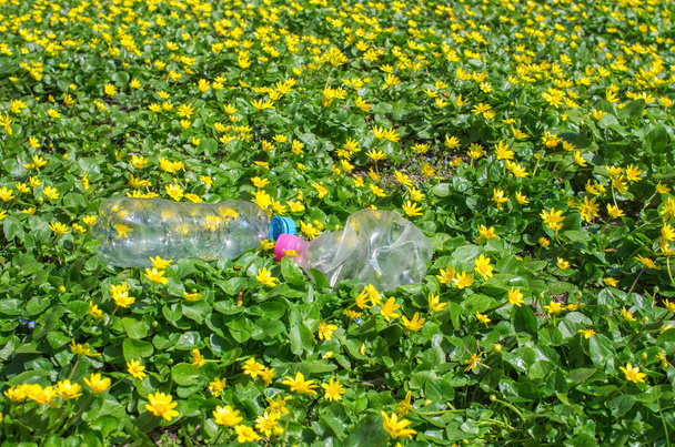 Απορριπτόμενα πλαστικά μπουκάλια στο γρασίδι με κίτρινα λουλούδια - Φωτογραφία, εικόνα