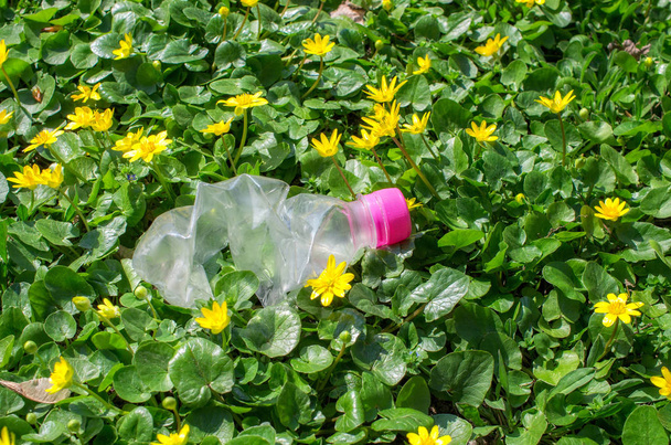 garrafa de plástico descartado na grama com flores amarelas
 - Foto, Imagem
