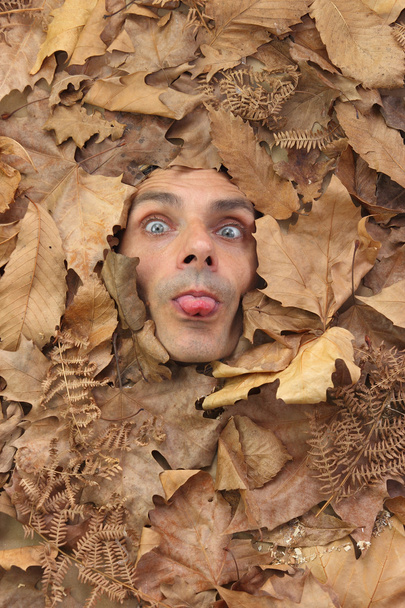 Herr Herbst streckt die Zunge heraus - Foto, Bild