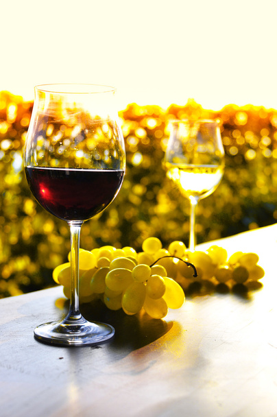 Два чарок, виноград проти Женевського озера. Регіоні Lavaux регіону, S - Фото, зображення
