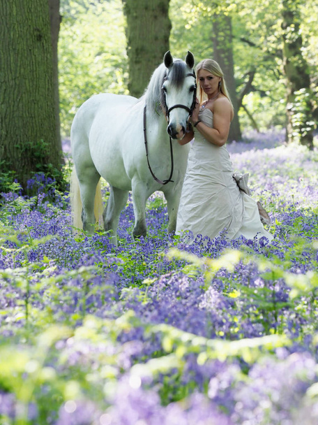 magische Frau und Pferd - Foto, Bild
