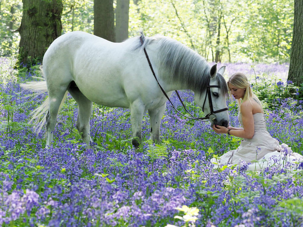 Чарівна жінка і кінь
 - Фото, зображення