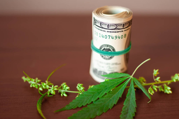 Cannabis CBD con semi e dollari in denaro legato con una gomma
  - Foto, immagini