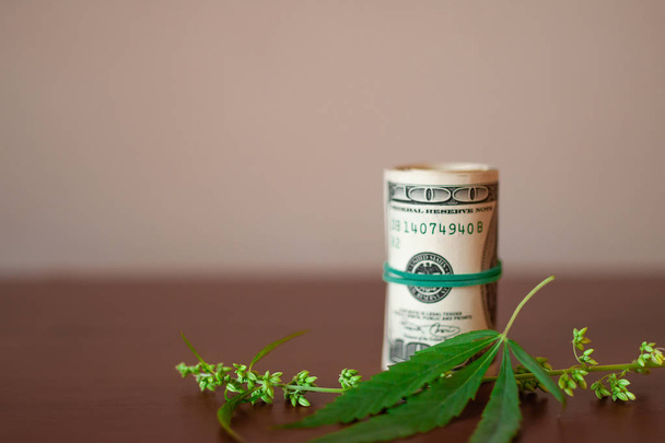 Cannabis con semillas y dólares en dinero atados con una goma
 - Foto, Imagen