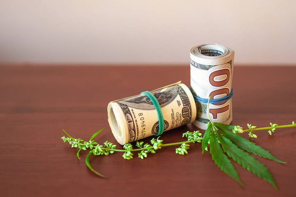 Cannabis CBD with seeds and dollars in money tied with a rubber  - Photo, Image
