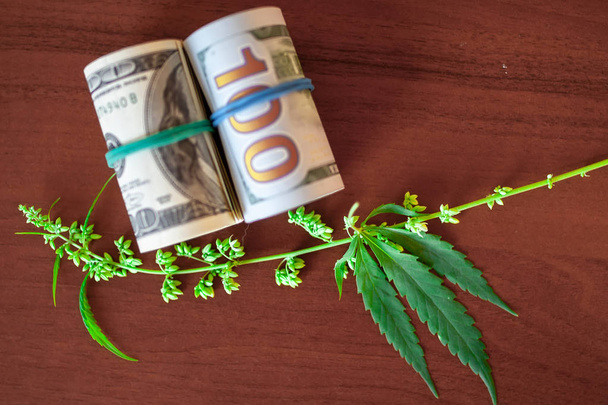 Cannabis con semi e dollari in denaro legato con un elastico
 - Foto, immagini