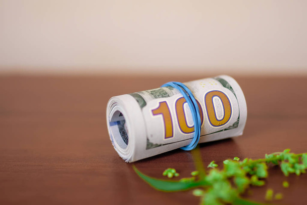 Cannabis com sementes e dólares em dinheiro amarrado com um elástico
 - Foto, Imagem