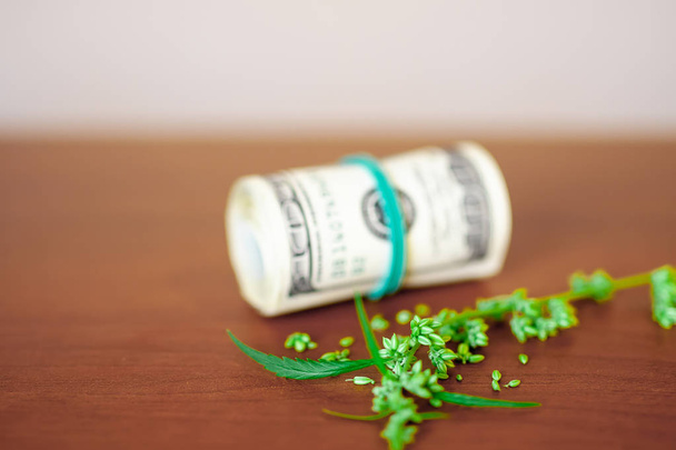 Конопля CBD з насінням і доларами в грошах, прив'язаних гумою
  - Фото, зображення