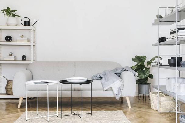 Minimalistic nordic home interior with design sofa, bookstand with accessories, tropical plants, coffee tables and stylish furniture. Empty white walls. Cozy space of living room.Brown wooden parquet - Foto, Imagem