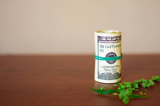 Cannabis CBD avec des graines et des dollars en argent liés à un caoutchouc
  - Photo, image