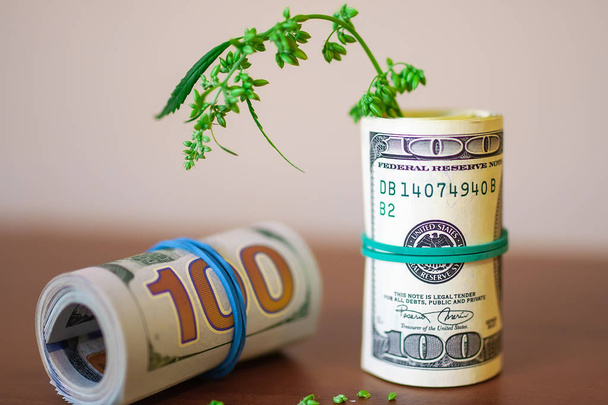 Cannabis avec des graines et des dollars en argent liés à un élastique
 - Photo, image