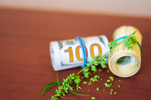 Конопля з насінням і доларами в грошах пов'язаних гумкою
 - Фото, зображення