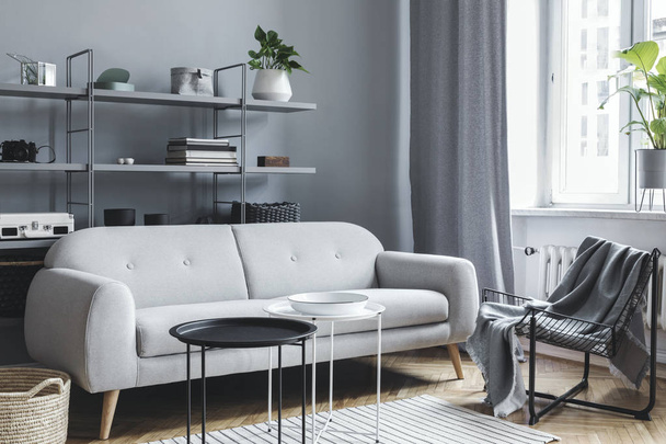 Modern and bright nordic living room with design sofa with pillow, coffee table, plants, stylish accessories and bookstand on the grey wall. Brown wooden parquet. Concept of minimalistic interior. - Valokuva, kuva