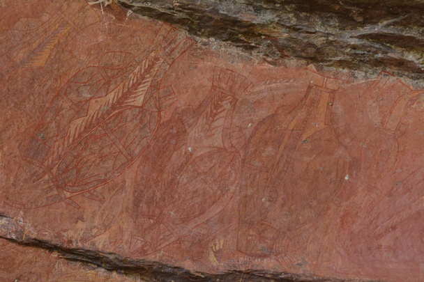 Ubirr Skałka w Parku Narodowym Kakadu Northern Territory o - Zdjęcie, obraz