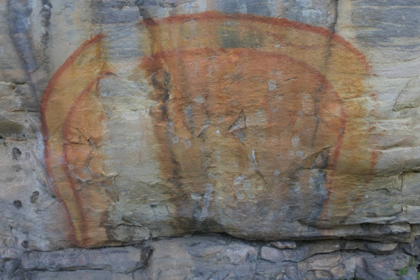 カカドゥ国立公園北テリーのアボリジニの岩絵 - 写真・画像