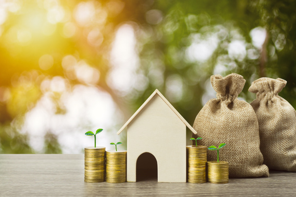 Risparmio di denaro o investimento immobiliare o acquistare un nuovo concetto di casa. A
 - Foto, immagini