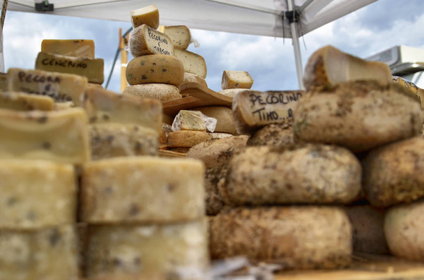 Seasoned tomes and typical Piedmontese cheeses - Zdjęcie, obraz