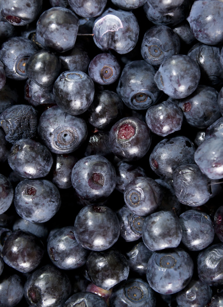Blueberries fundo
 - Foto, Imagem