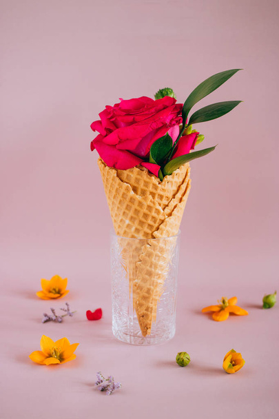 Pink rose in Ice Cream on pink background, copy space - Photo, image