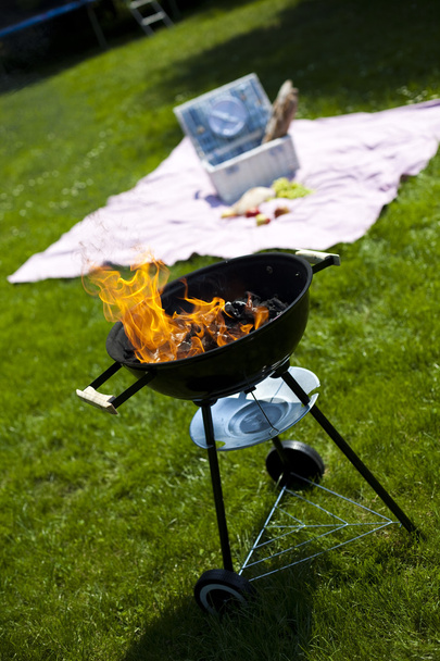 Feuer, heißes Grillen - Foto, Bild