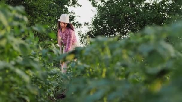 Vermoeide vrouw boer lijdt rugpijn - Video