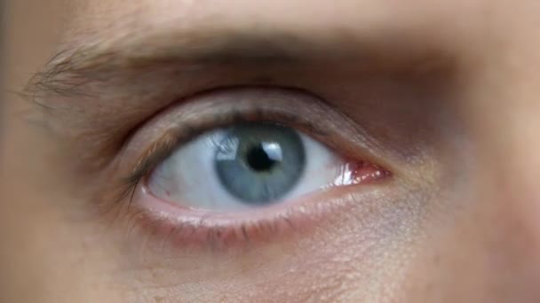 A macro shot of a blue male eye. The young man quickly reads the appearing text. The concept of media, confused and frightened person. - Záběry, video