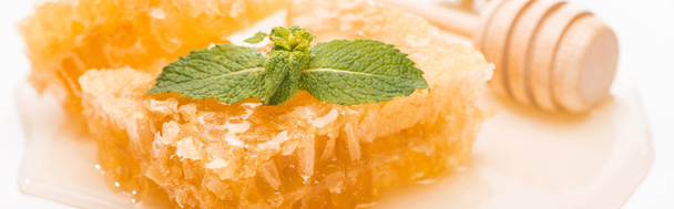 plano panorámico de panal con miel decorado con menta cerca de la jarra de miel de madera sobre fondo blanco
 - Foto, Imagen