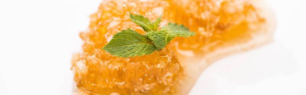 Foto panorámica de delicioso panal con miel y hojas frescas de menta verde aisladas en blanco
  - Foto, imagen
