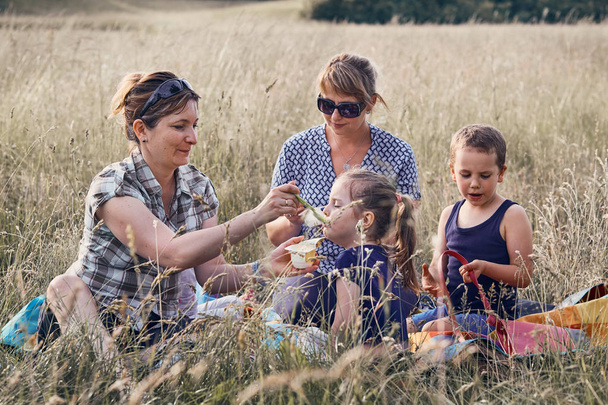 Families spending time together on a meadow - Fotografie, Obrázek