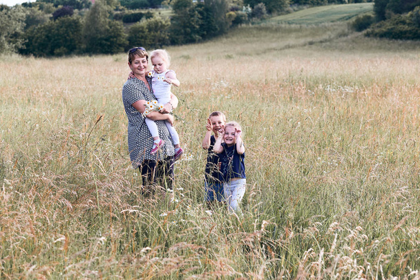 Bir çayırda çocuklarla vakit geçiren anne - Fotoğraf, Görsel