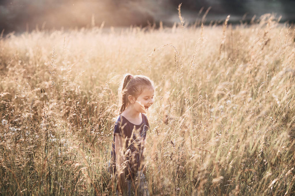 Pequena menina feliz andando através de uma grama alta no campo
 - Foto, Imagem