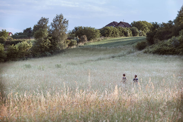 Little happy kids playing in a tall grass - Fotoğraf, Görsel