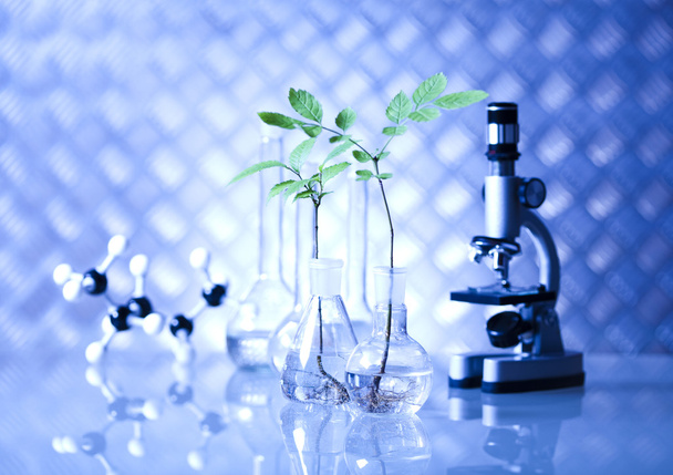 Chemia sprzęt, rośliny laboratoryjne - Zdjęcie, obraz