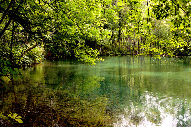 Vihreä järvi - Luonnonsuojelualue
 - Valokuva, kuva
