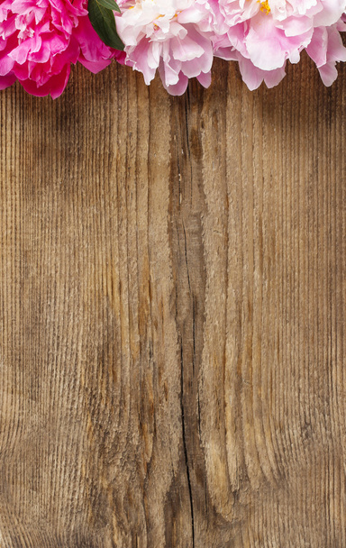 Stunning peonies on wooden background. Copy space - Фото, зображення