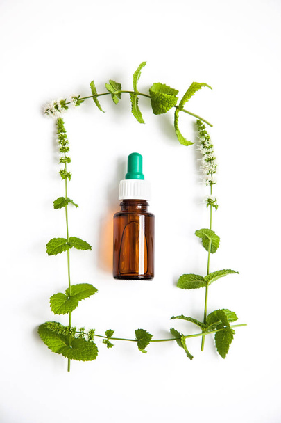 έννοια της υγείας και της φυτικής ιατρικής με πράσινα κλαδιά δυόσμου σε λευκό φόντο, κορυφή θέα. - Φωτογραφία, εικόνα