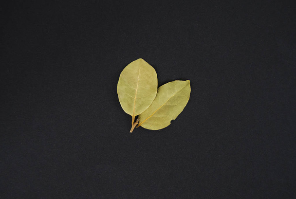 Two dried Laurel leaves on a black background. Top View. Horizontal photo - Foto, afbeelding