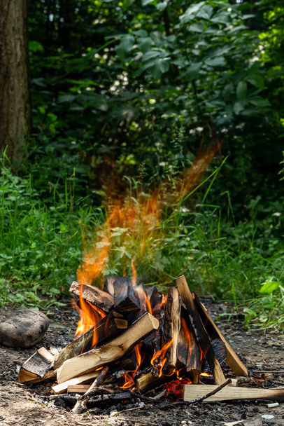 キャンプファイヤーからの舌の火 - 写真・画像